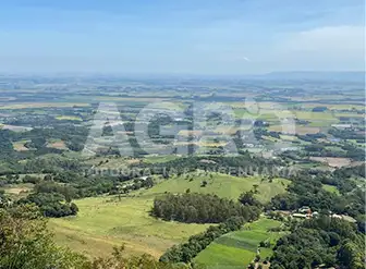 Mapeamento com Drone